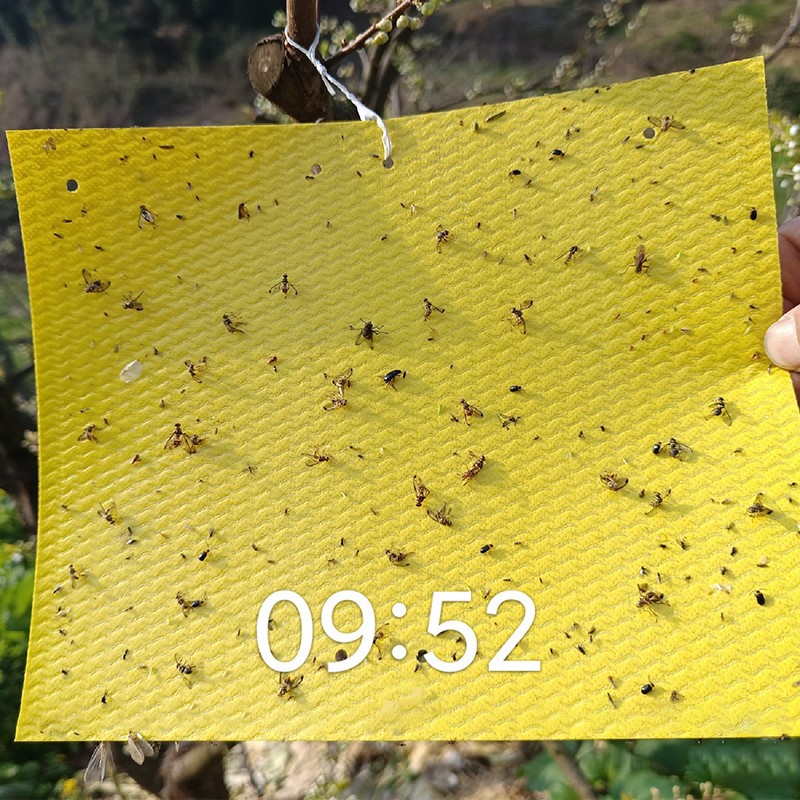 202403150952591 202403150952591