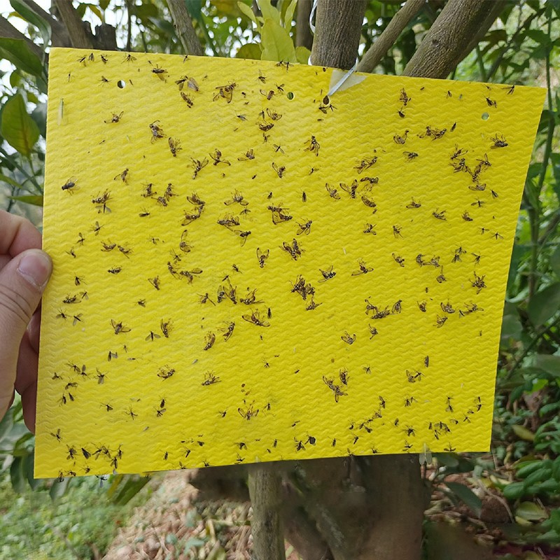 202403151131571 202403151131571